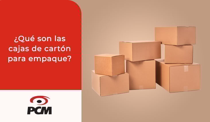 ¿Qué son las cajas de cartón para empaque_