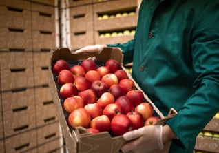 proveedores-de-cajas-de-carton-para-agricola