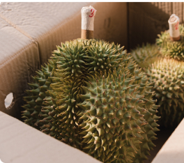 Retos en el uso de cajas para el Mercado Agrícola